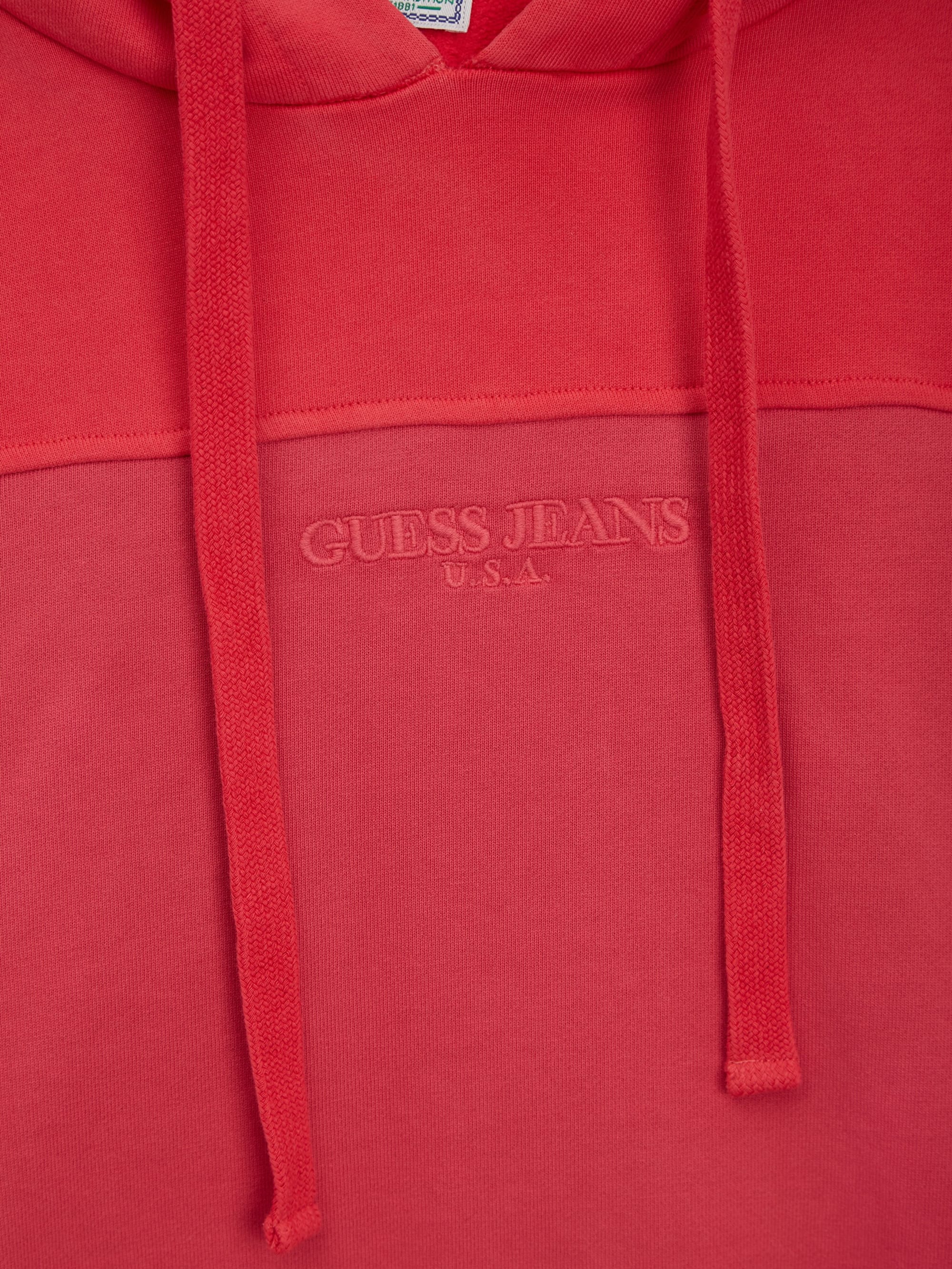Chrysanthemum