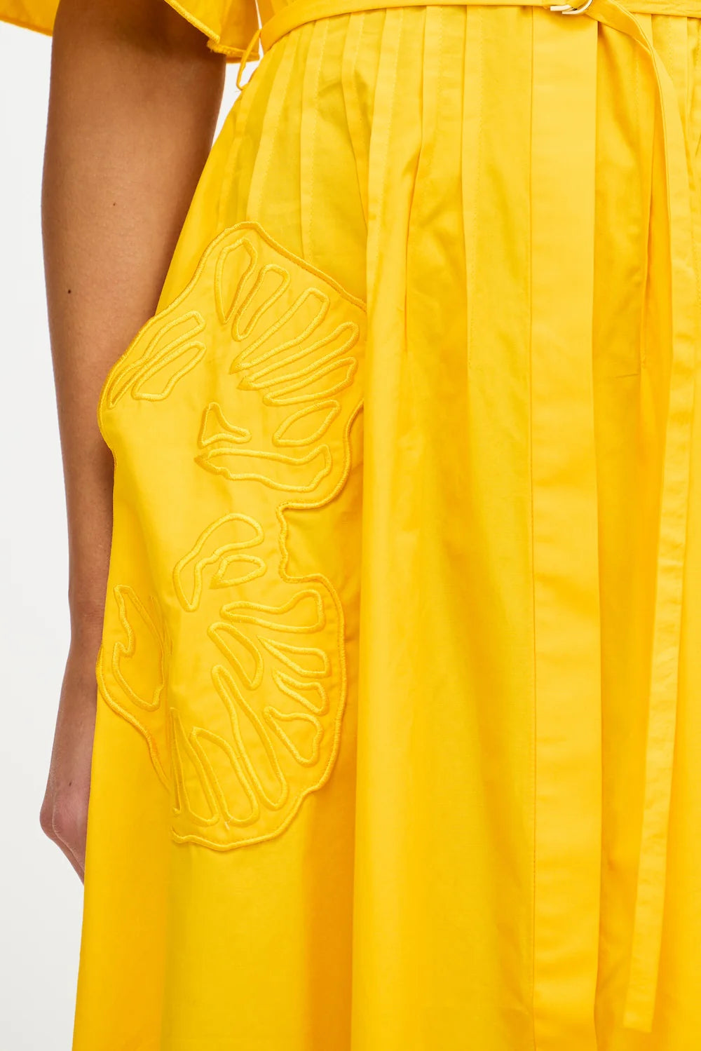 Daffodil