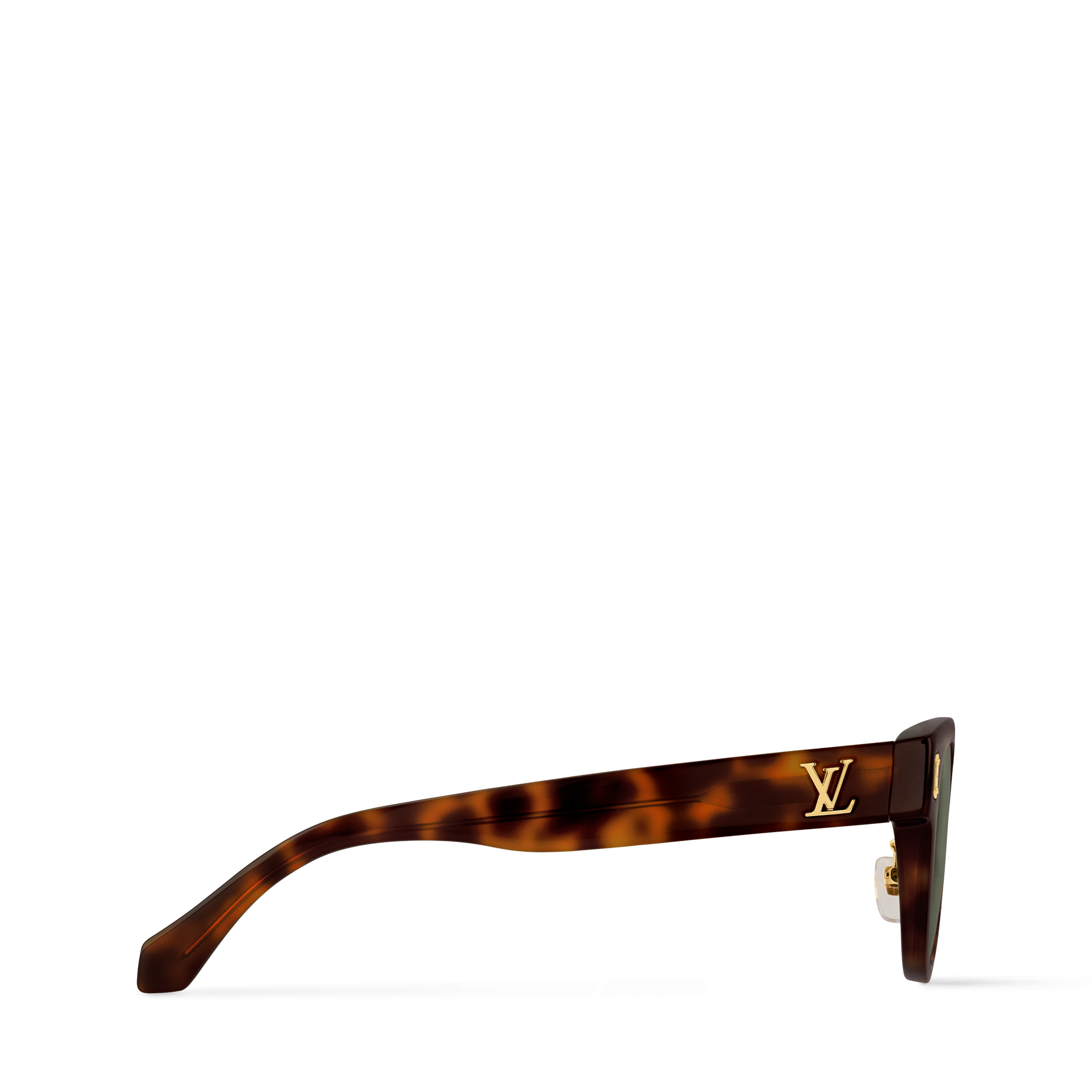 Dark Tortoise