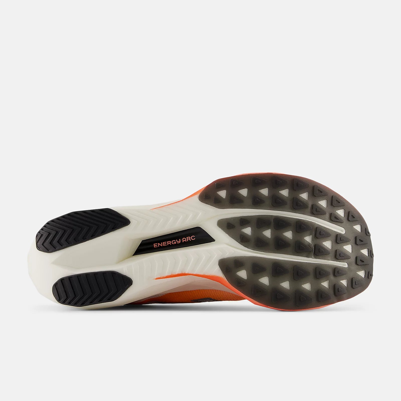 Grapefruit With Grey Matter And Poppy
