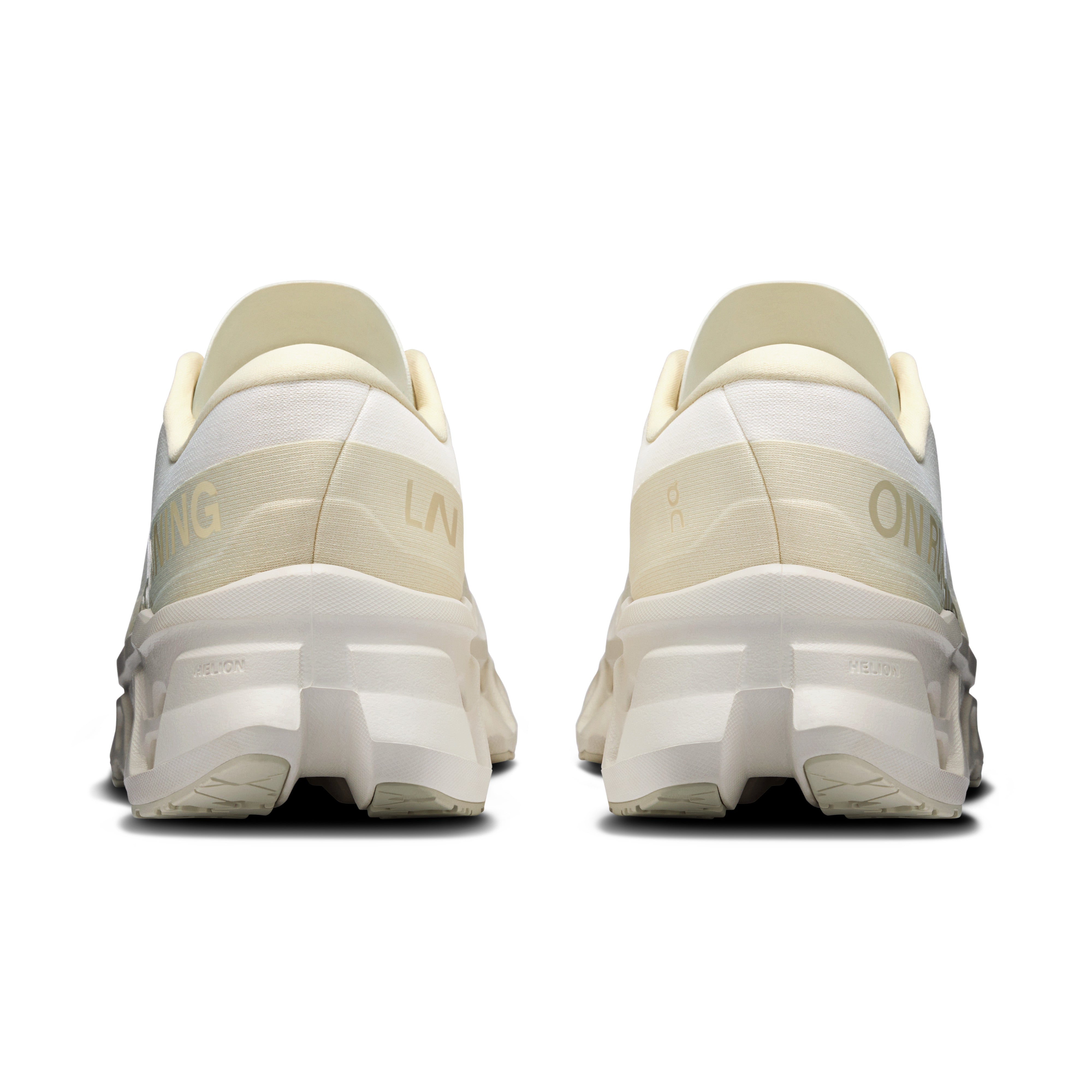 Ivory | Ray