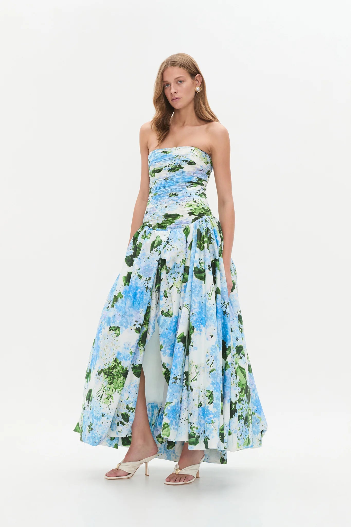 BLUE HYDRANGEA