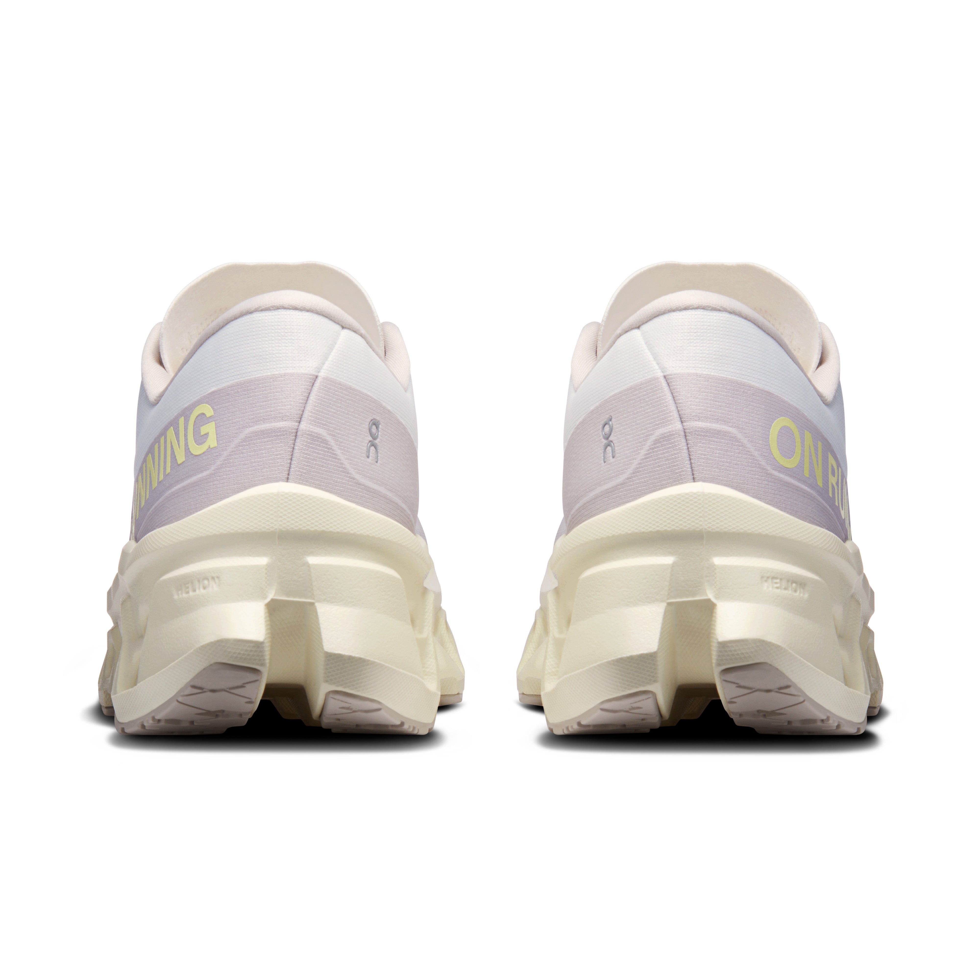Ivory | Seedling