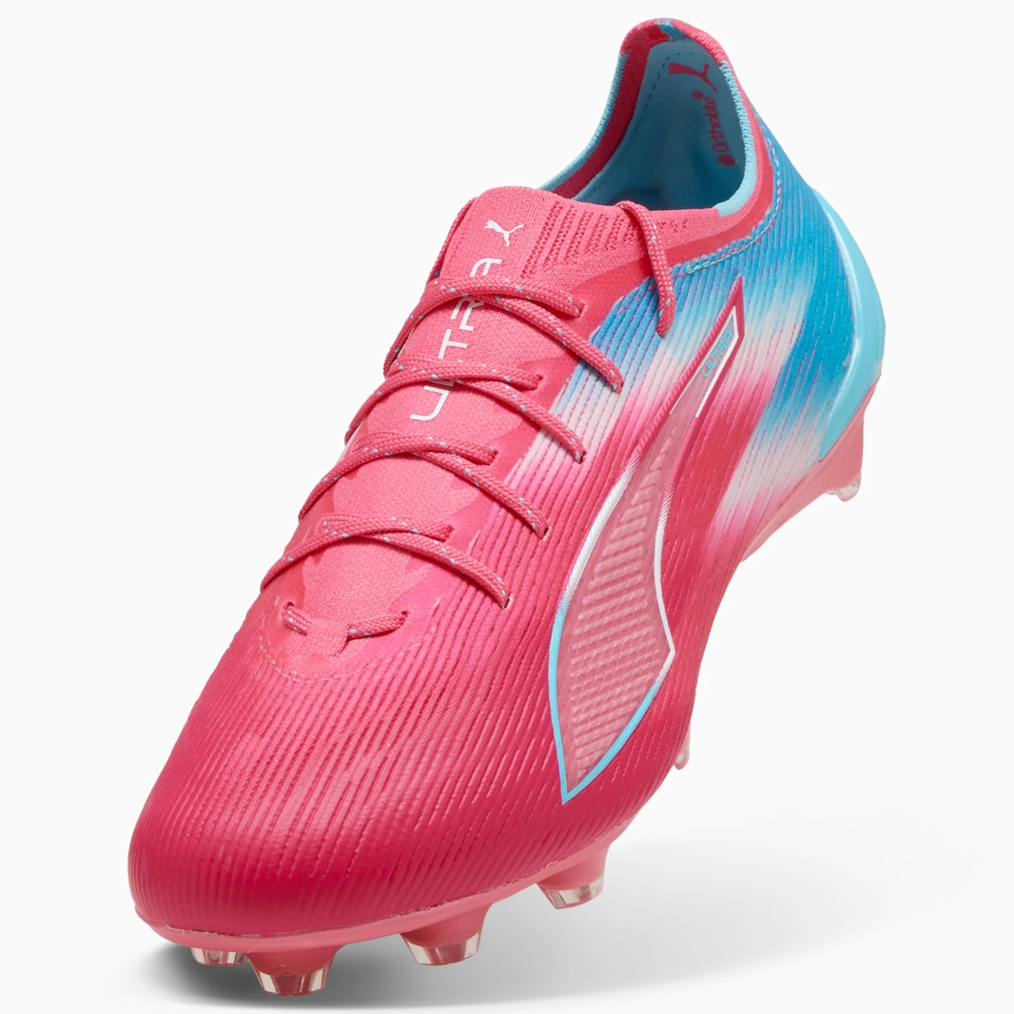 Hero Blue-Sunset Pink-Garnet Rose