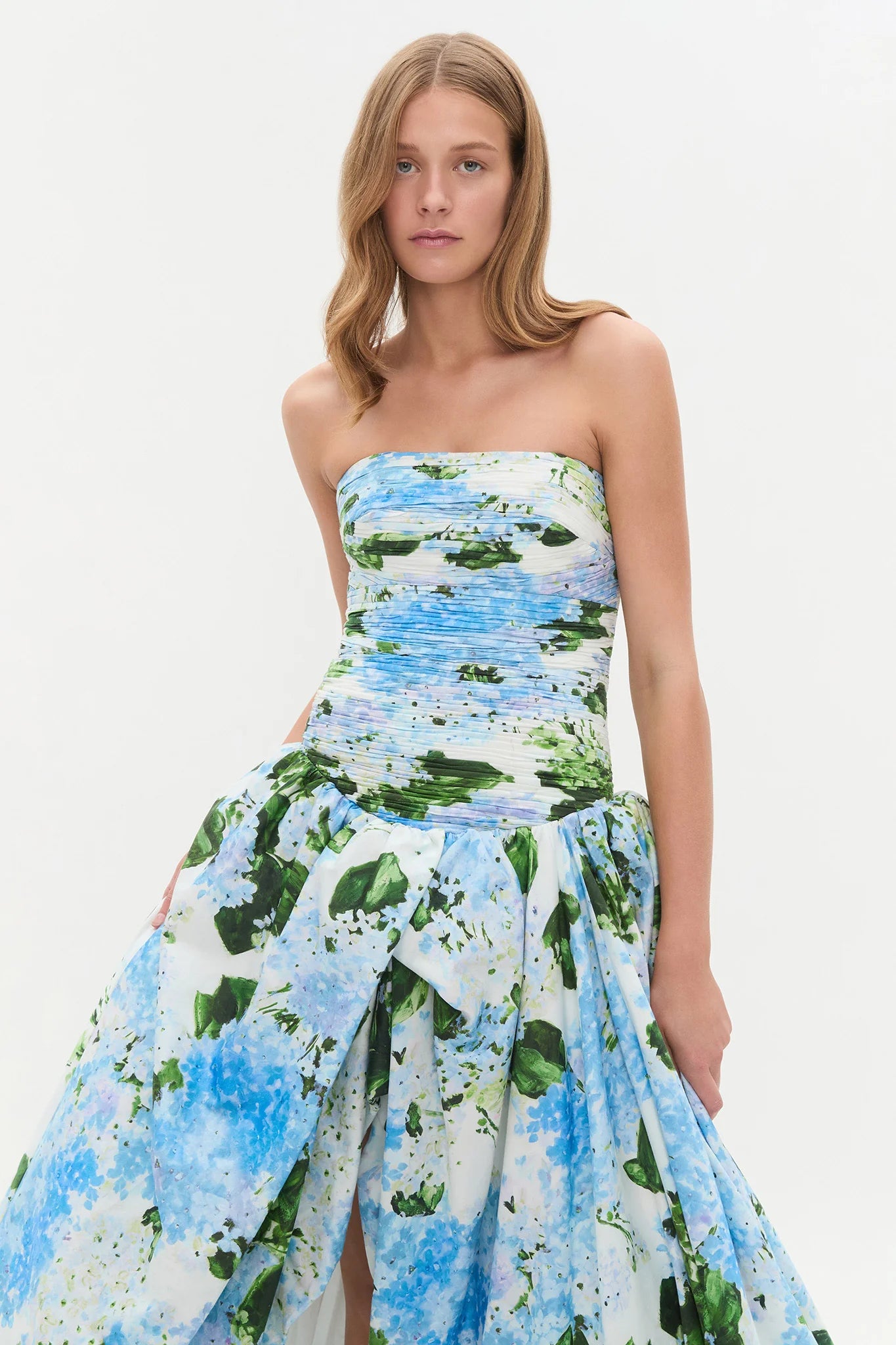 BLUE HYDRANGEA