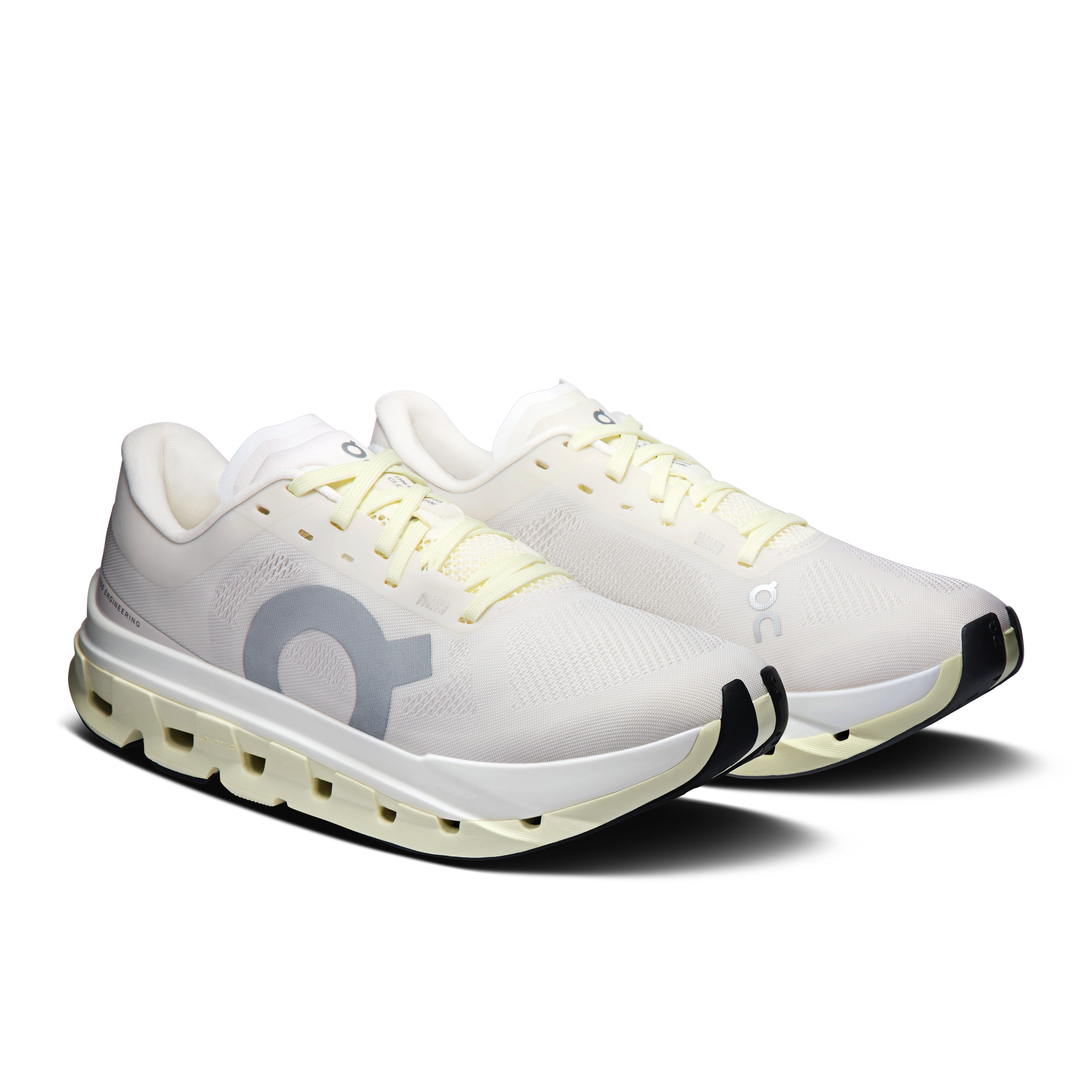Ivory | Seedling