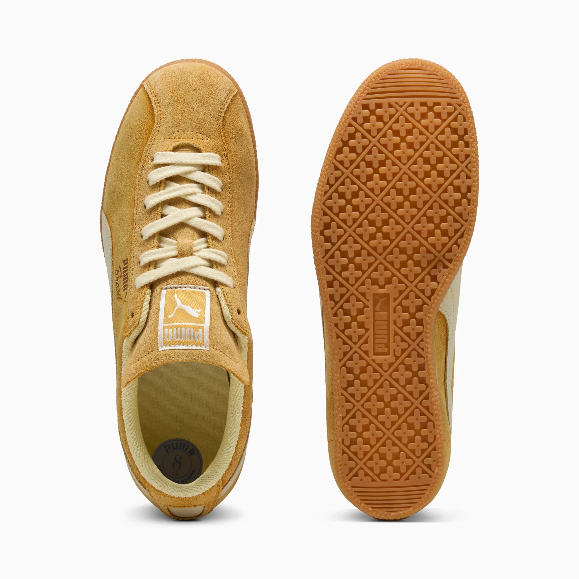 Archive Gold-Creamy Vanilla