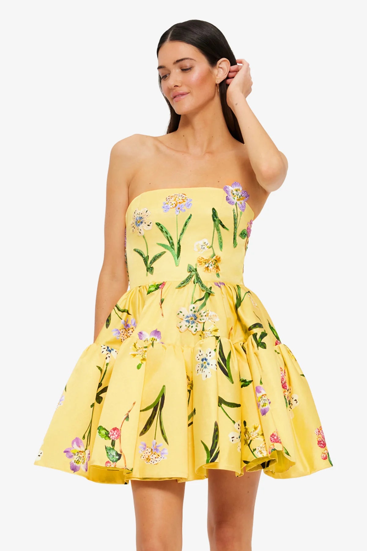Wild Flower in Sorbet