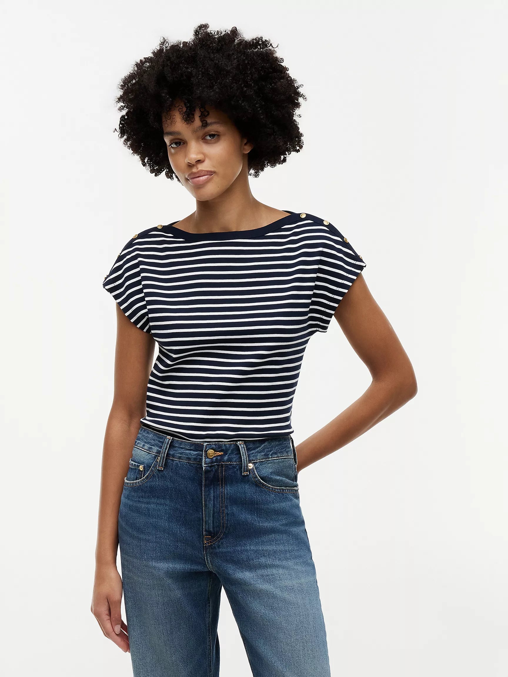 Calico / Navy Blue Stripe 2