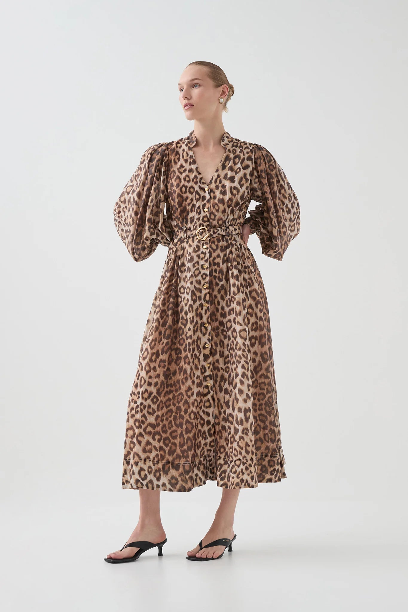 LEOPARD