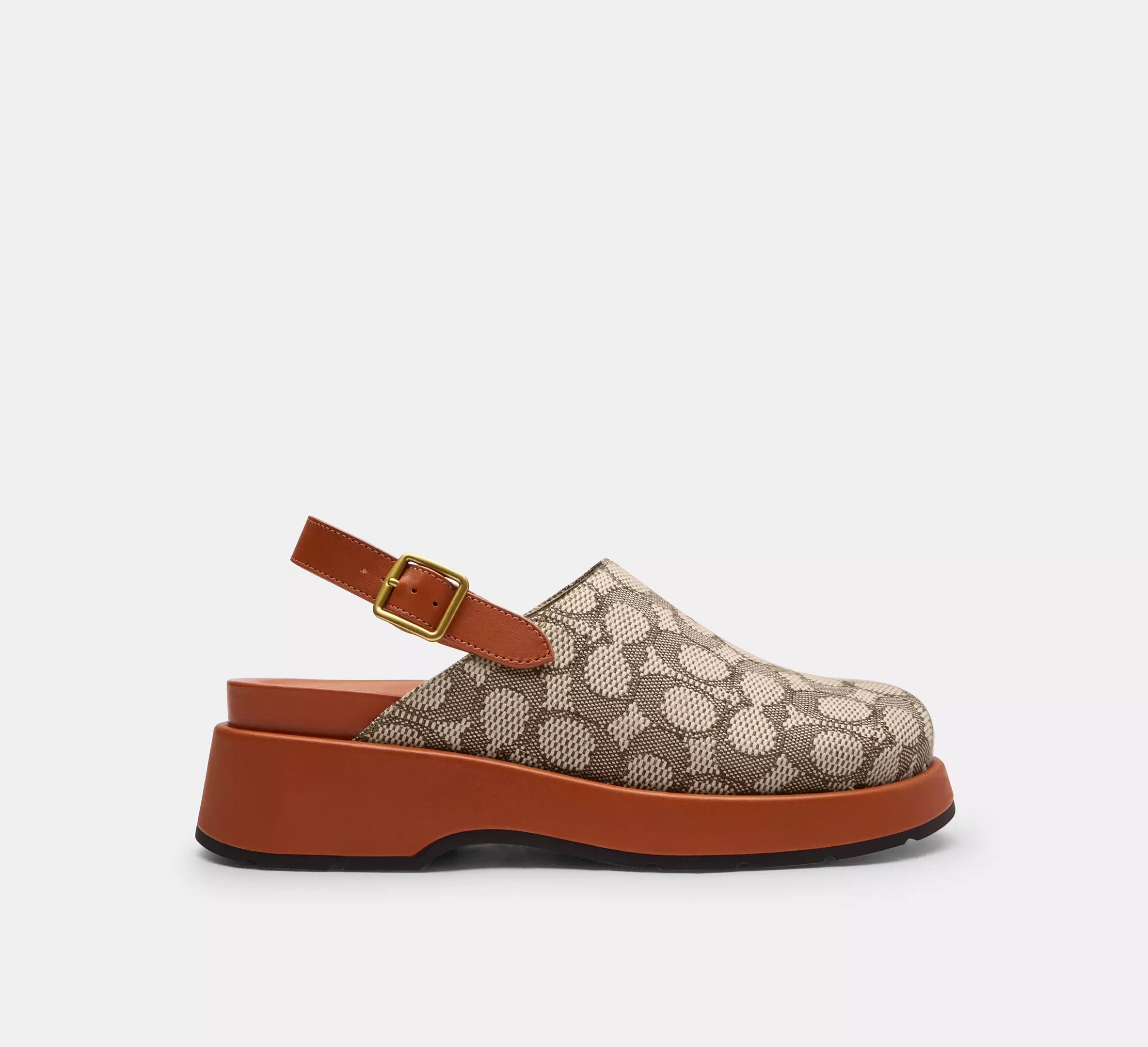 Cocoa/Burnished Amber