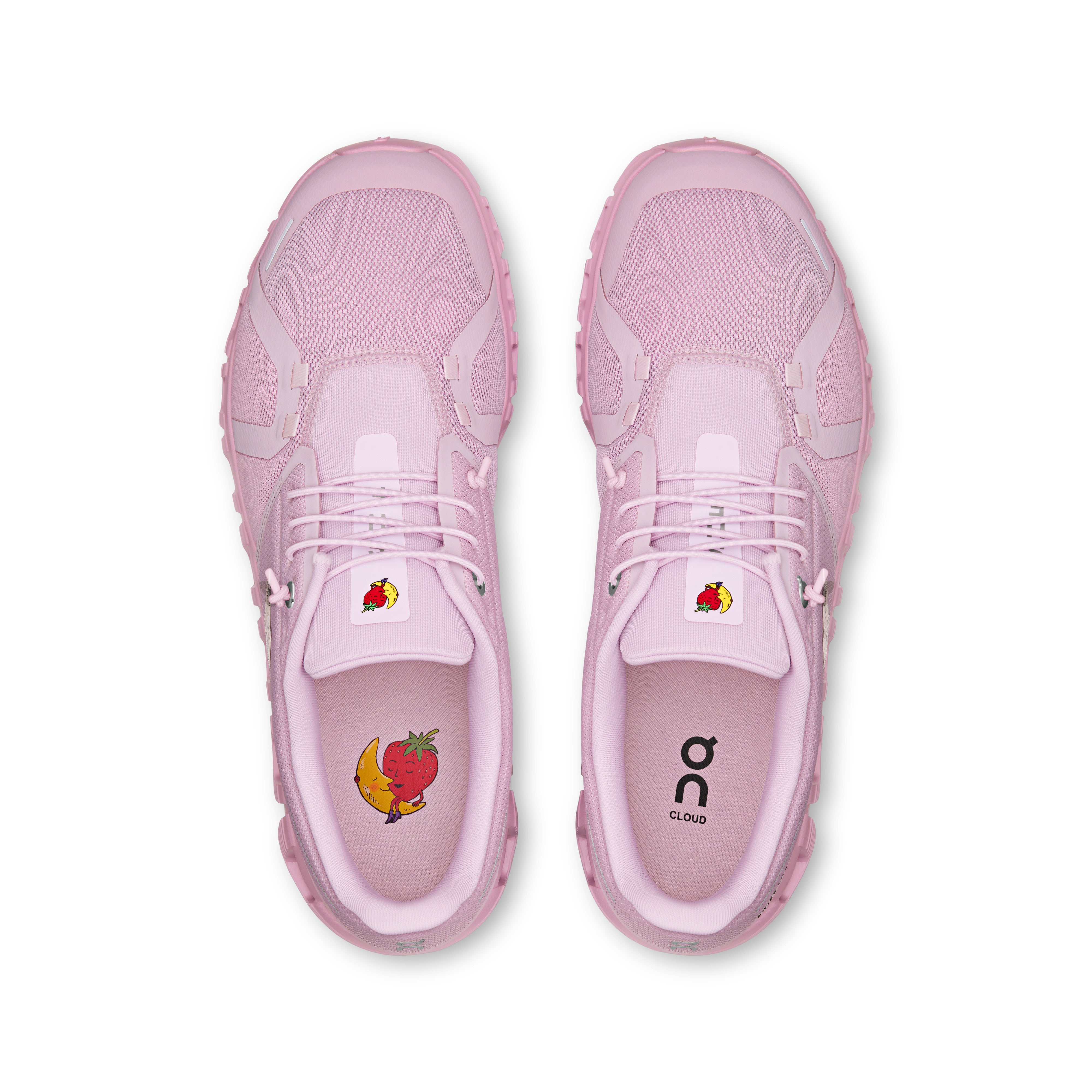 Aster | Begonia
