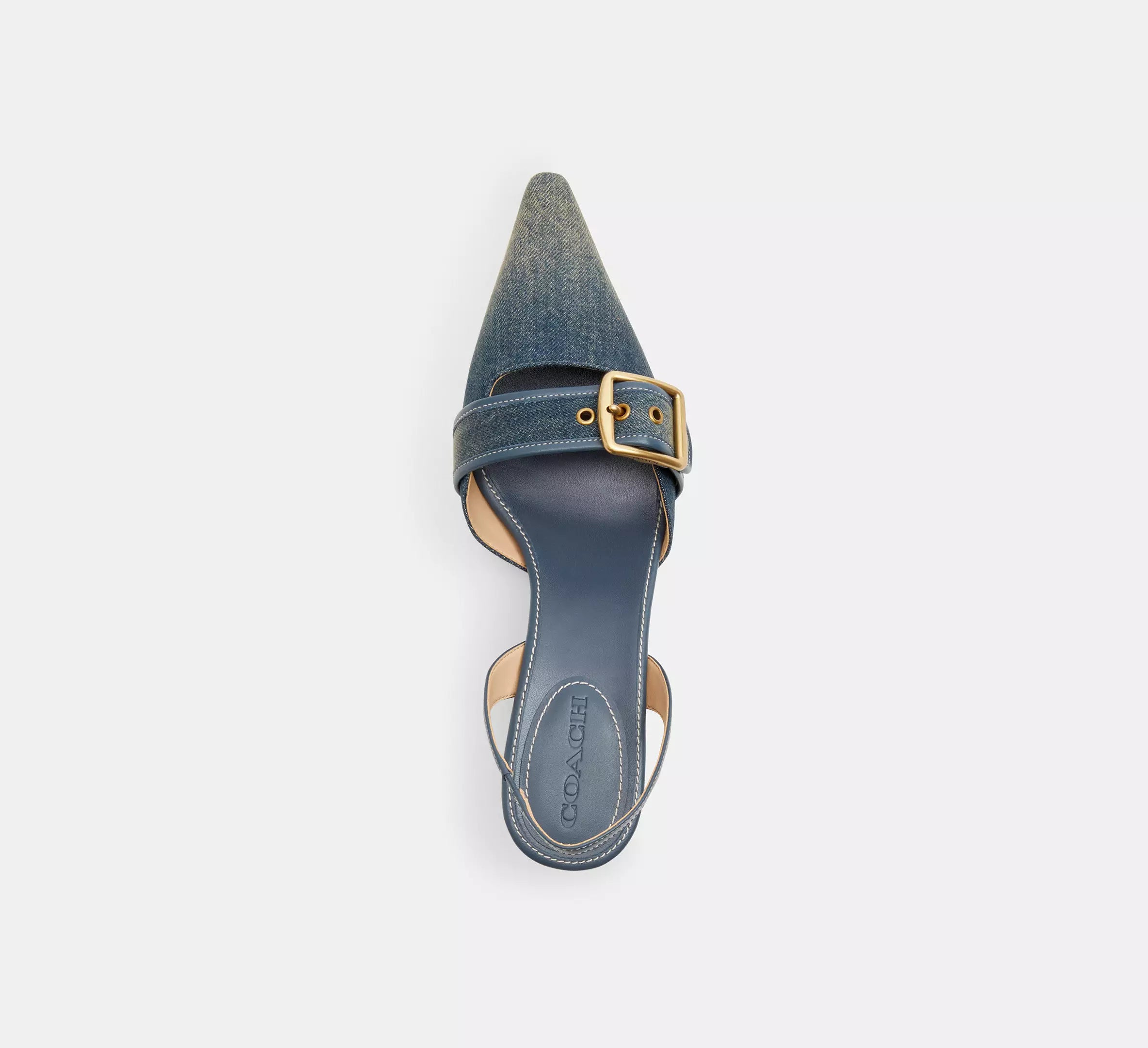 Dark Indigo