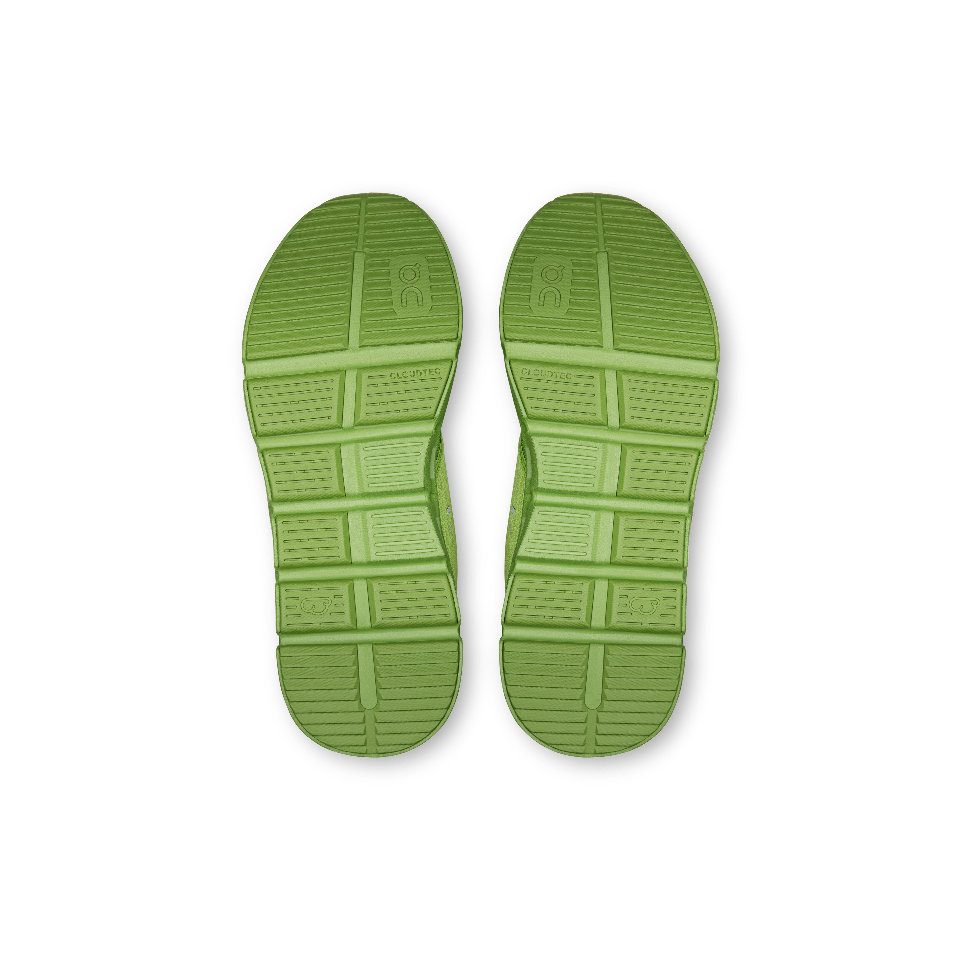 Celery | Bayleaf