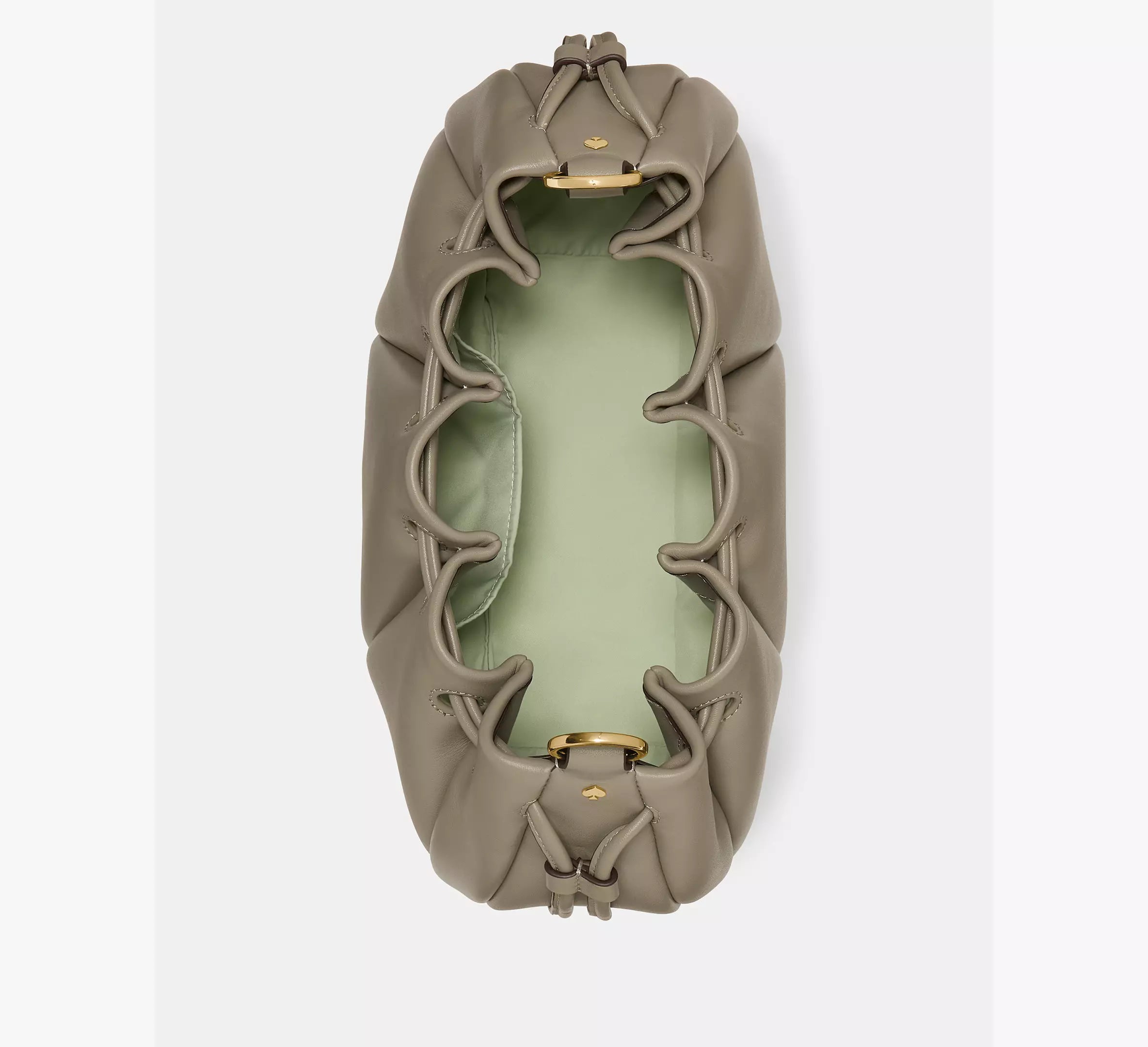 Oyster Shell