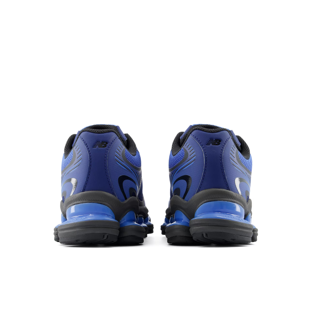 Blue Oyster With Blue Bird And Faded Black