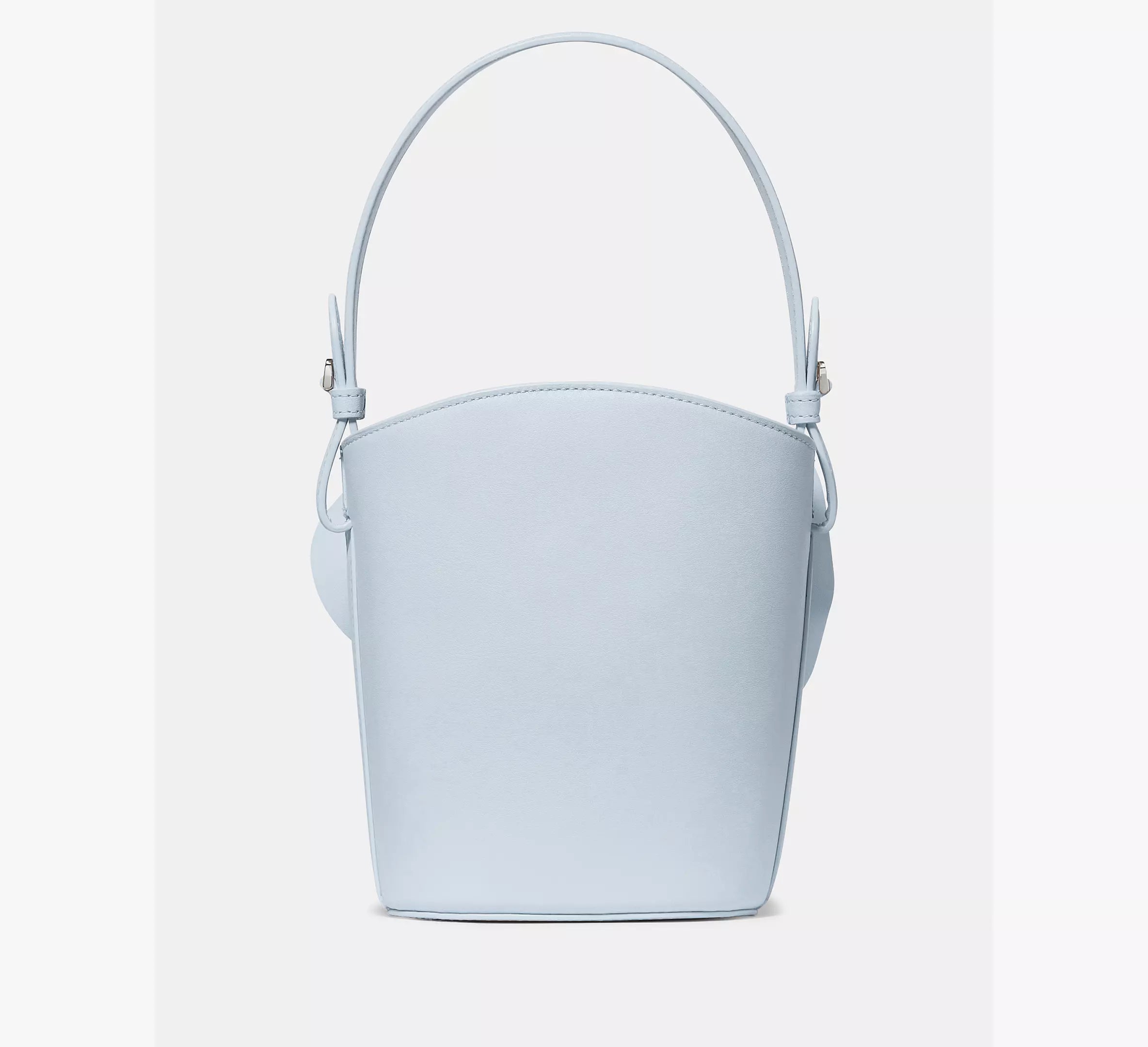 Pale Sapphirine