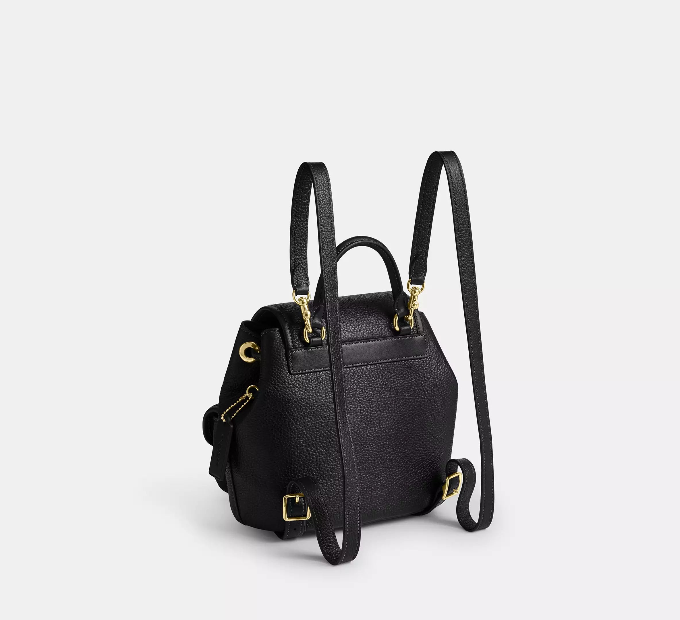 Gold/Black