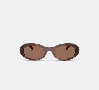 Dark Tortoise