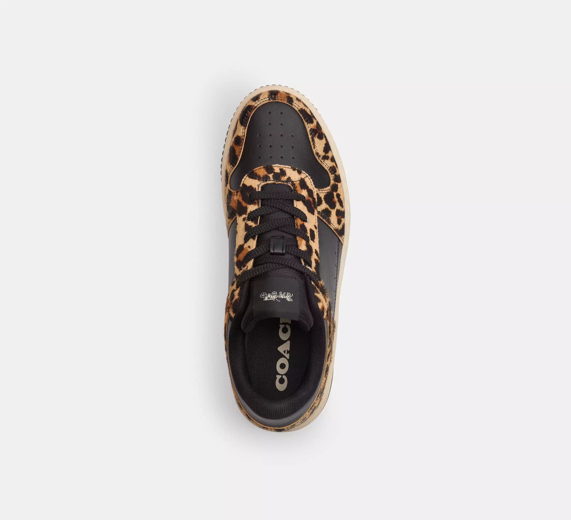 Black/Leopard