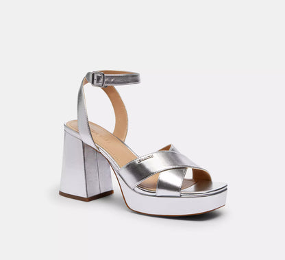 Metallic Silver