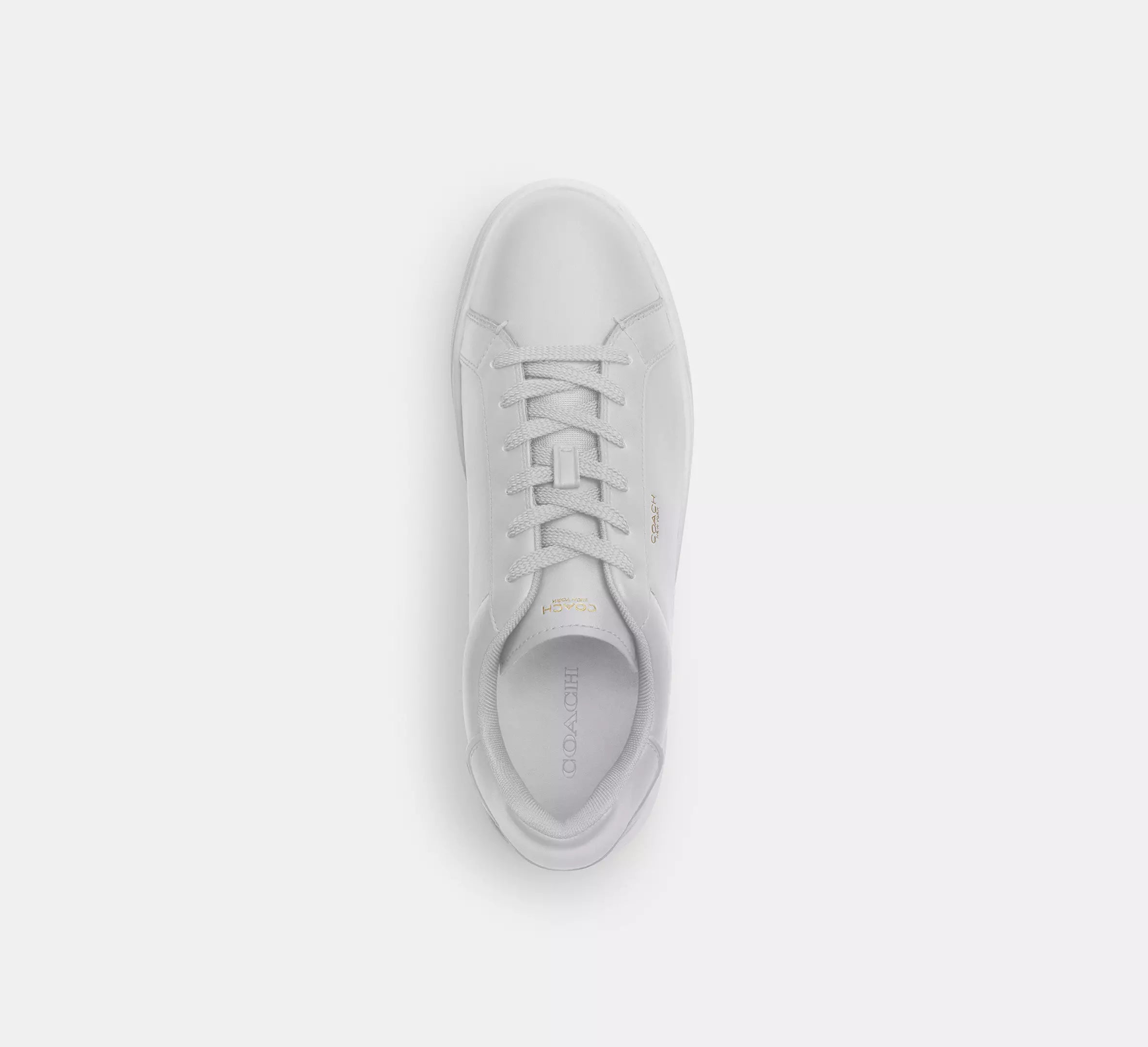 Optic White
