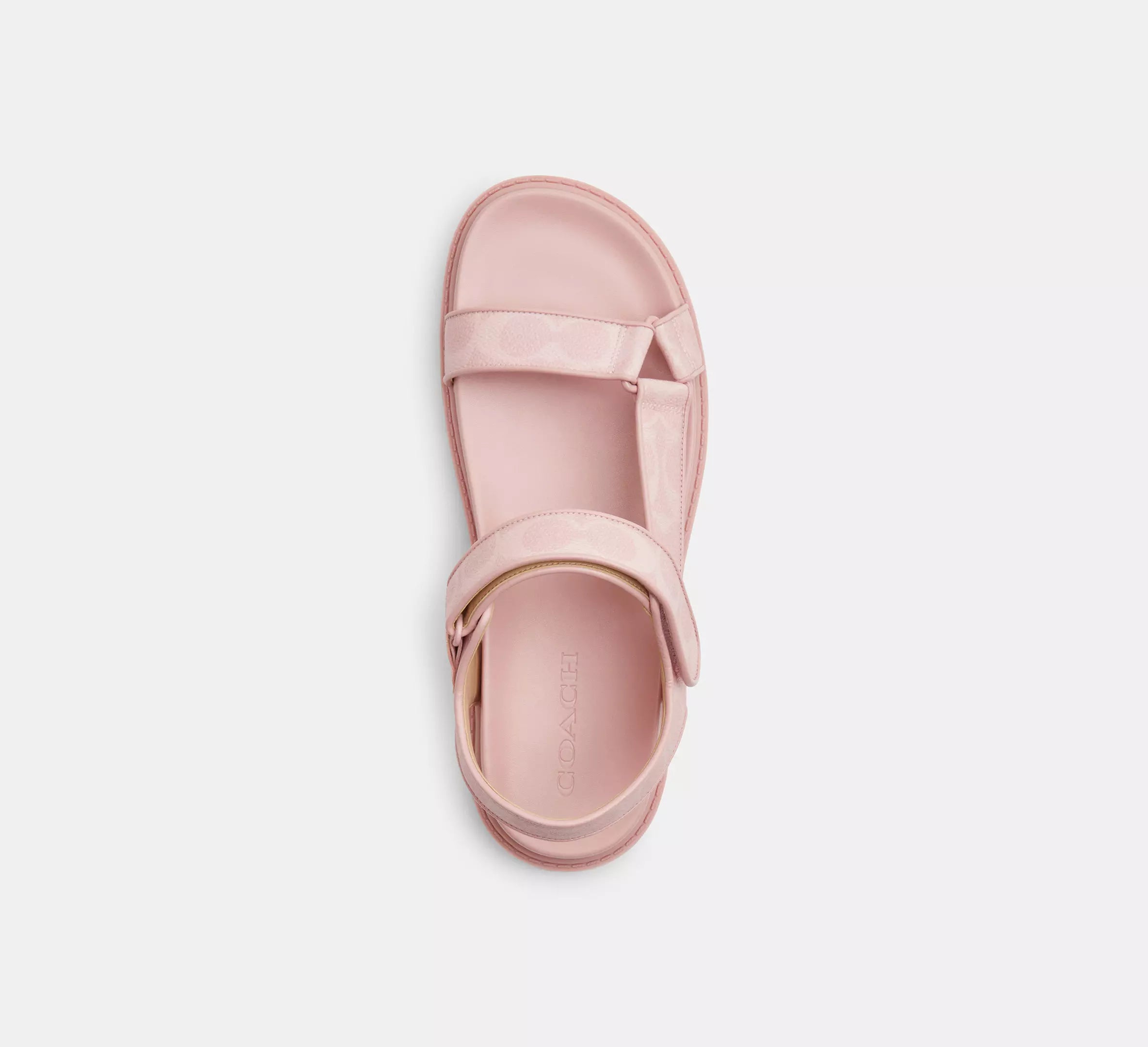 Powder Pink
