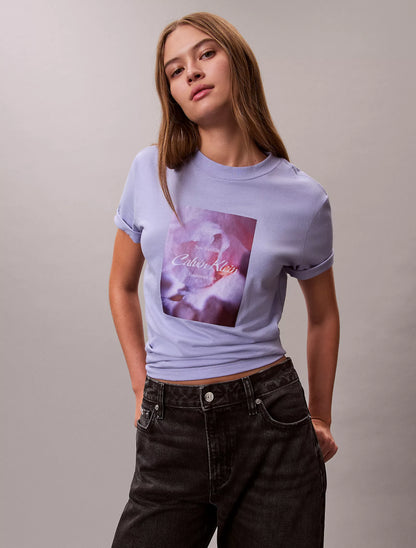 Sweet Lavender