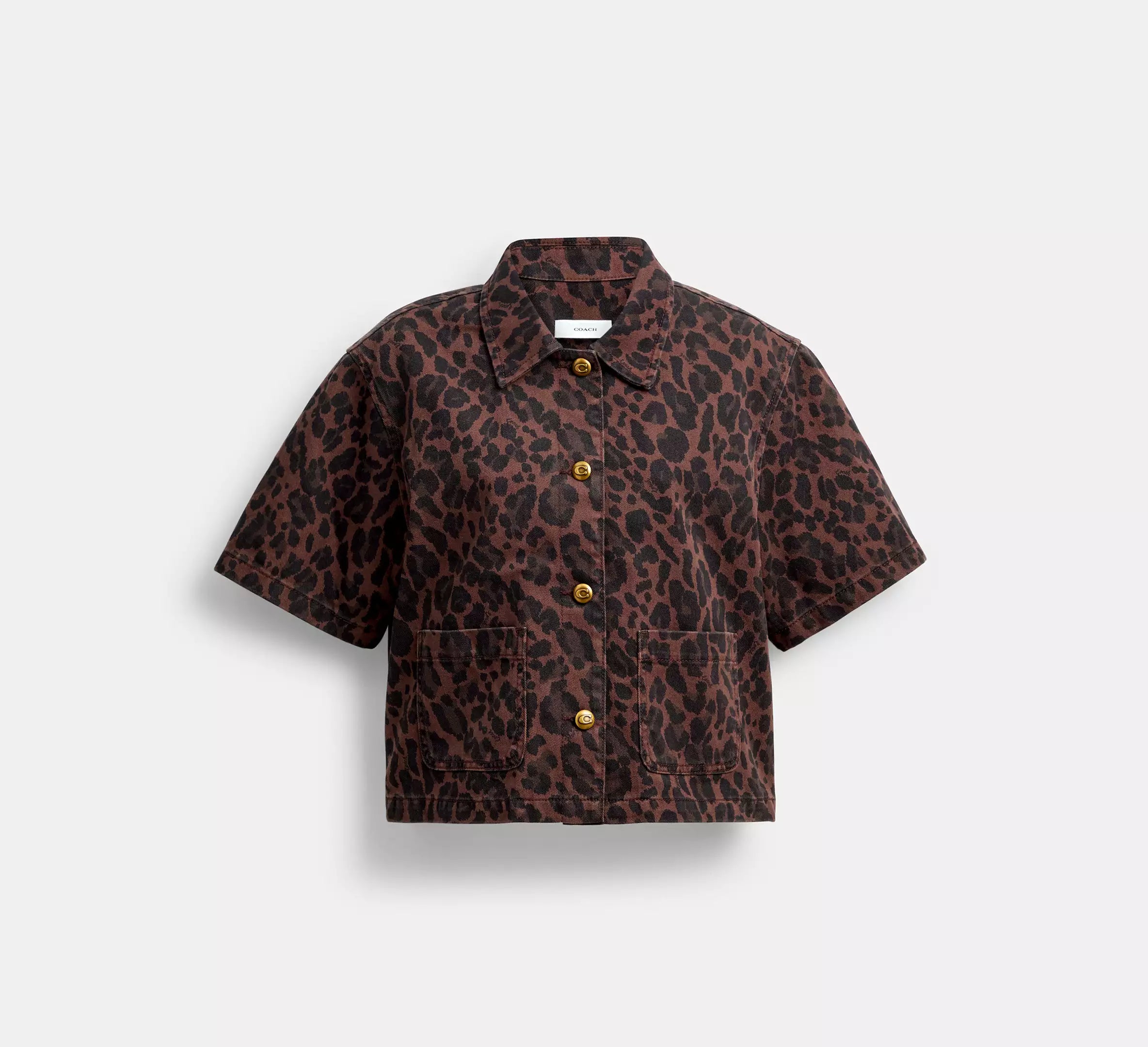 Dark Leopard