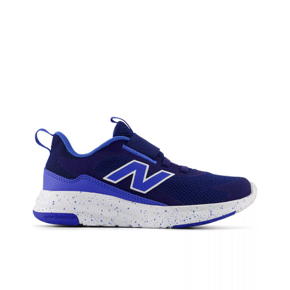 Blue Oyster With Bluebird And Nb White