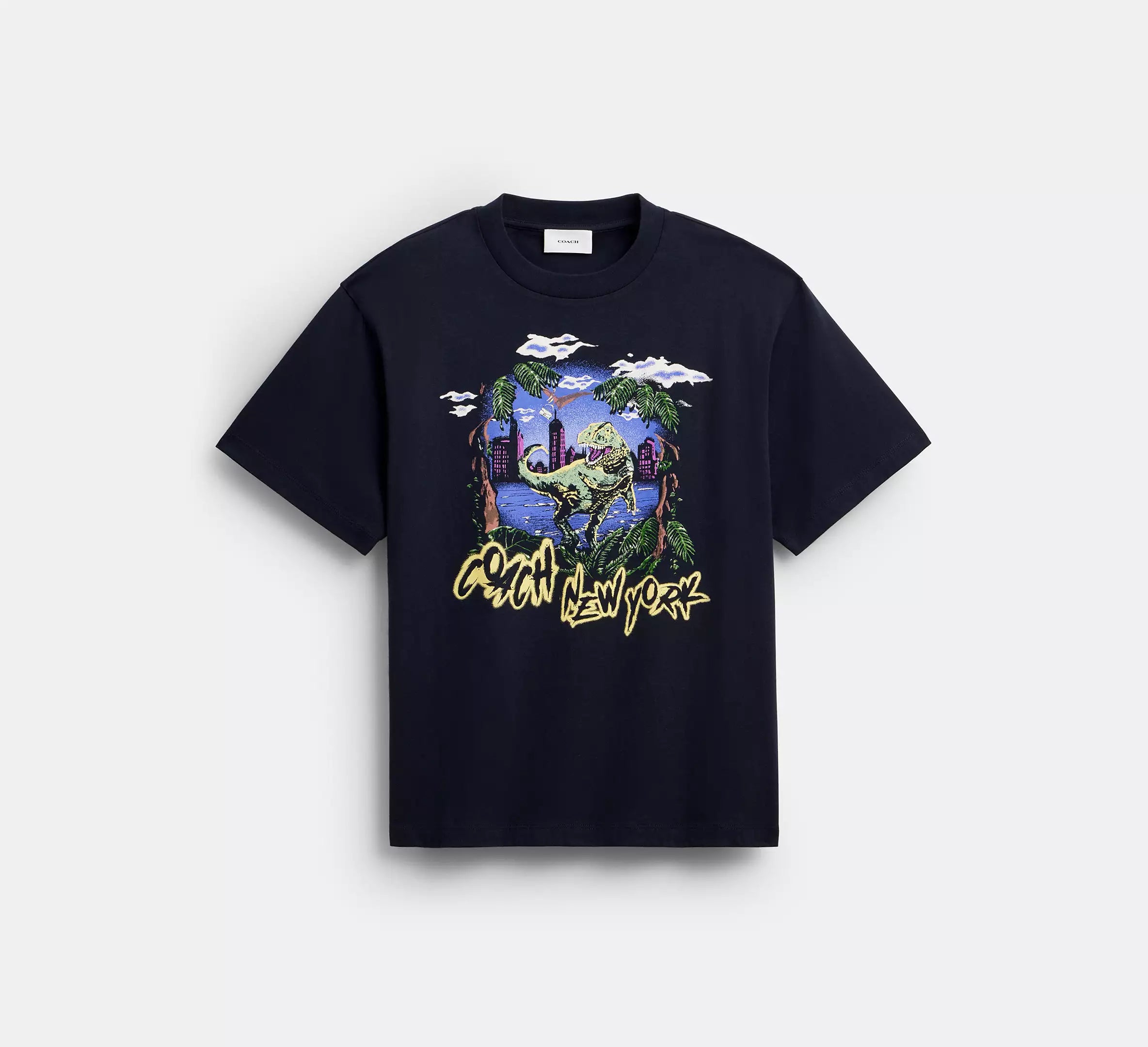 Blue Multi