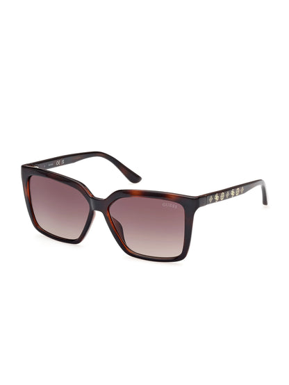 Dark Havana/Gradient Brn