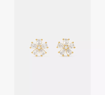 Clear/Gold