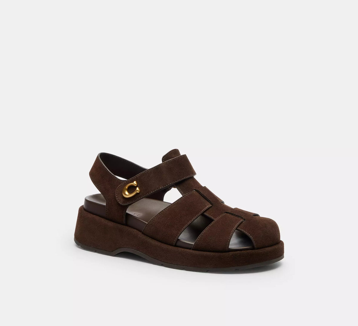 Chocolate Brown