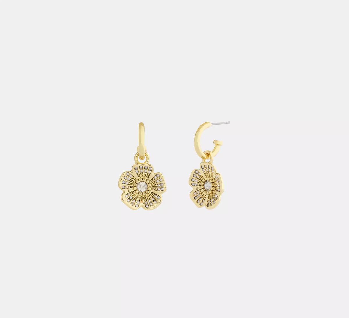 Gold/Clear