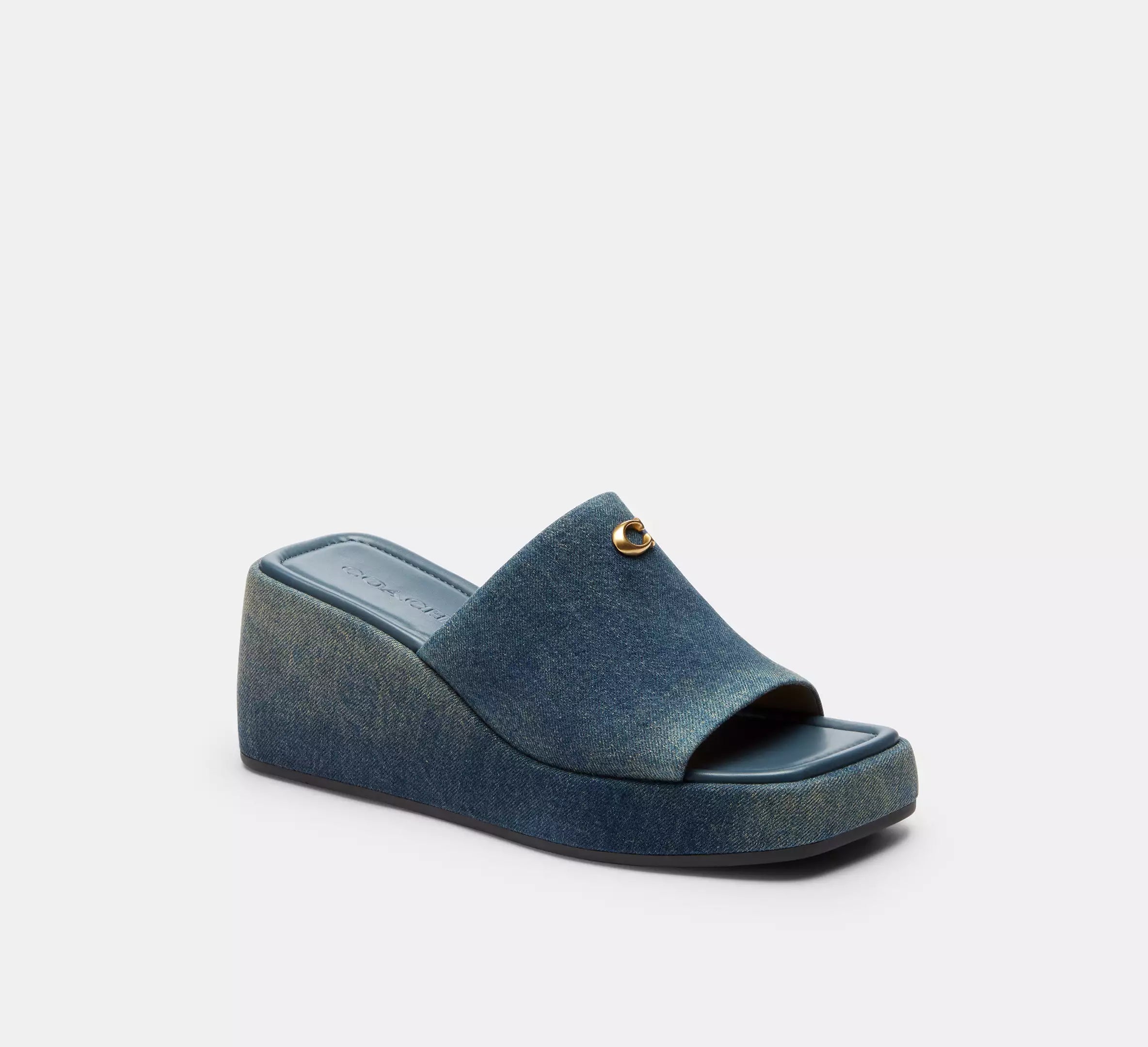 Dark Indigo
