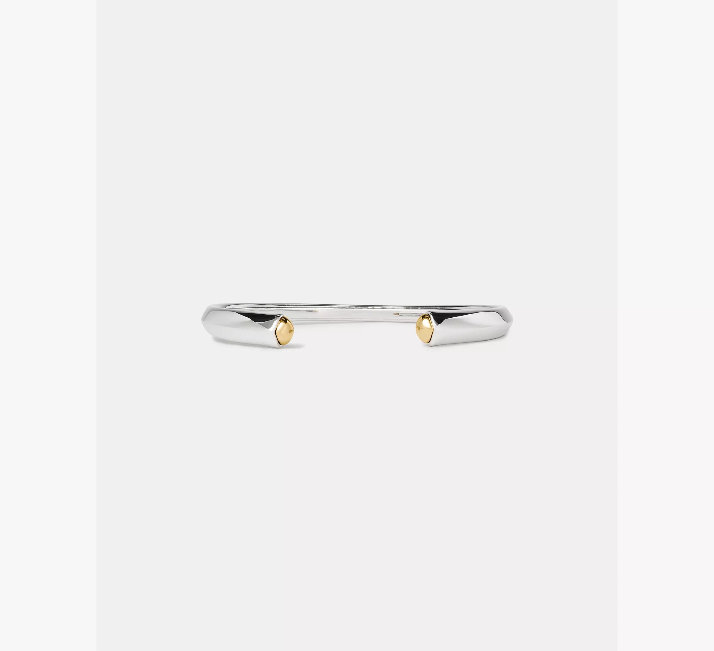 Silver/Gold