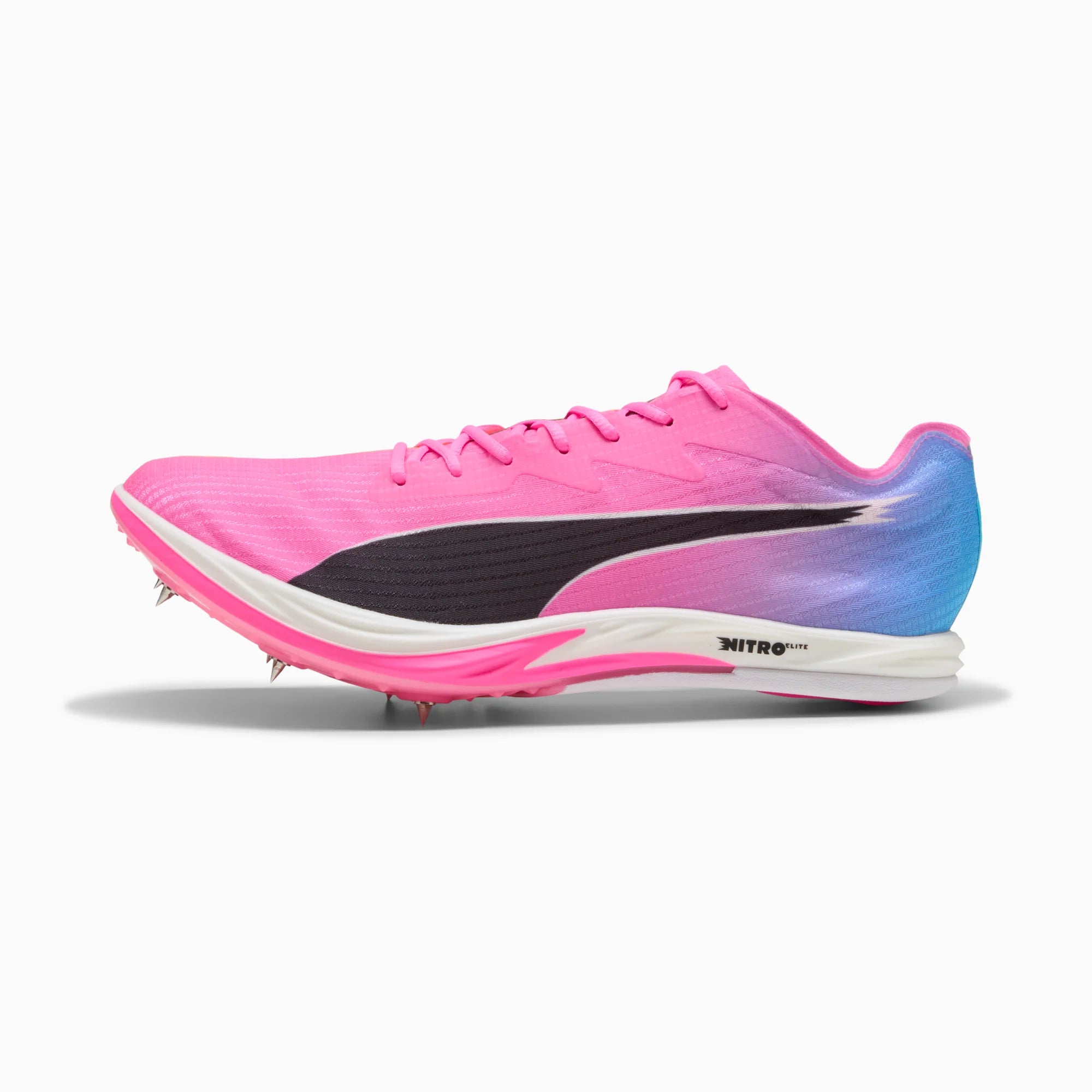 Poison Pink-Sun Stream-Bright Aqua