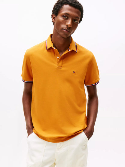 Autumn Orange