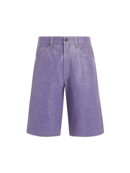 Jazzy Purple