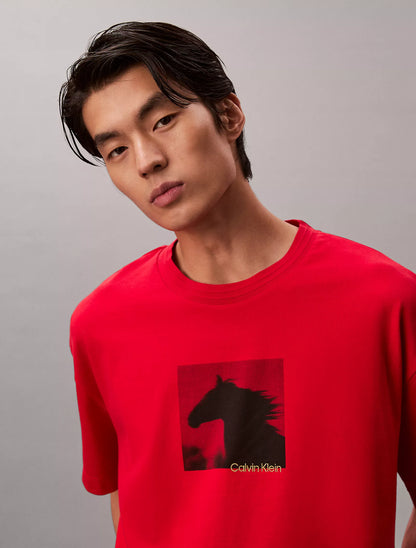 Pantone Red