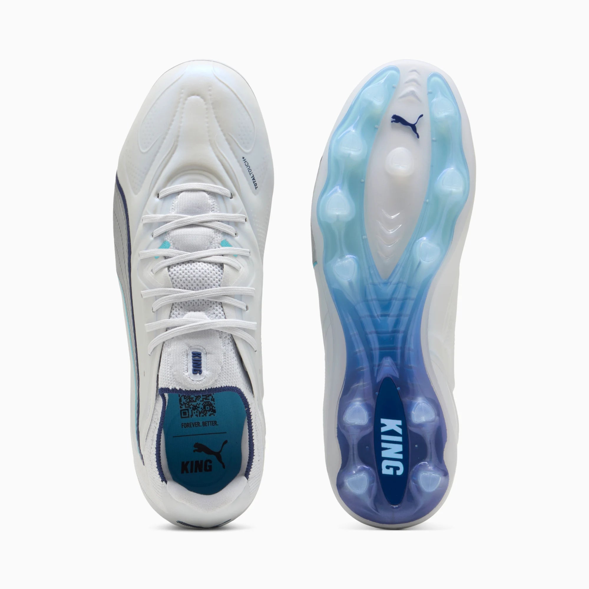 Silver Mist-Blue Jewel-Vibrant Blue