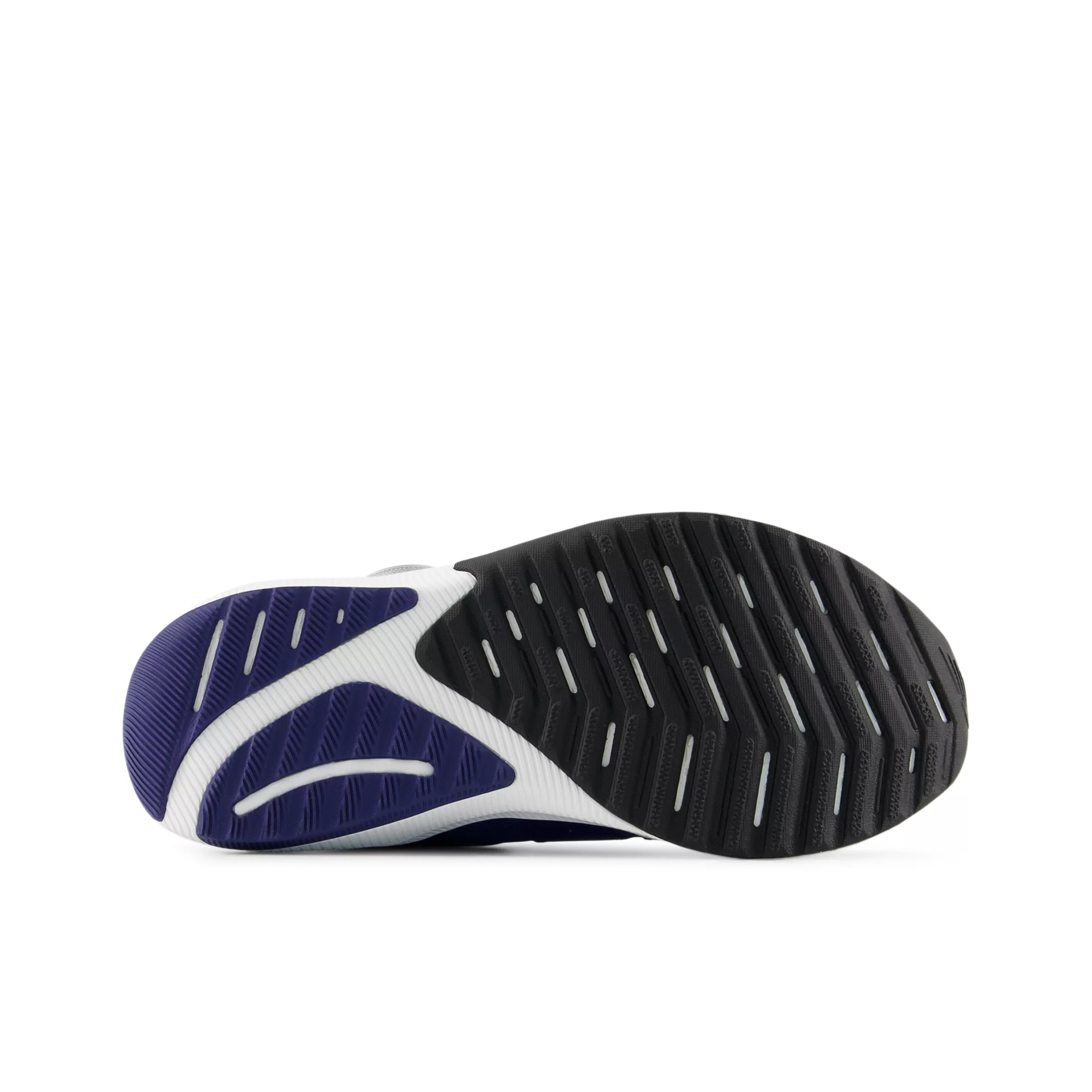 Blue Oyster With Blue Bird And Oxford Blue
