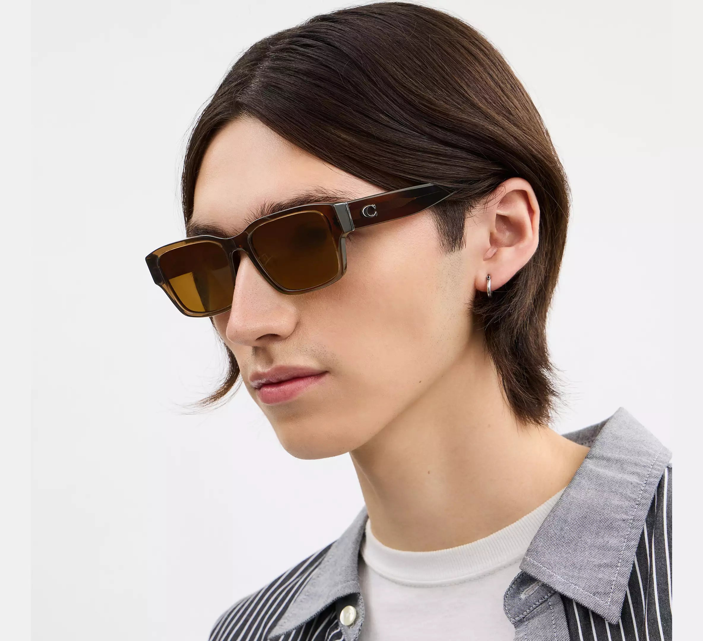Transparent Brown
