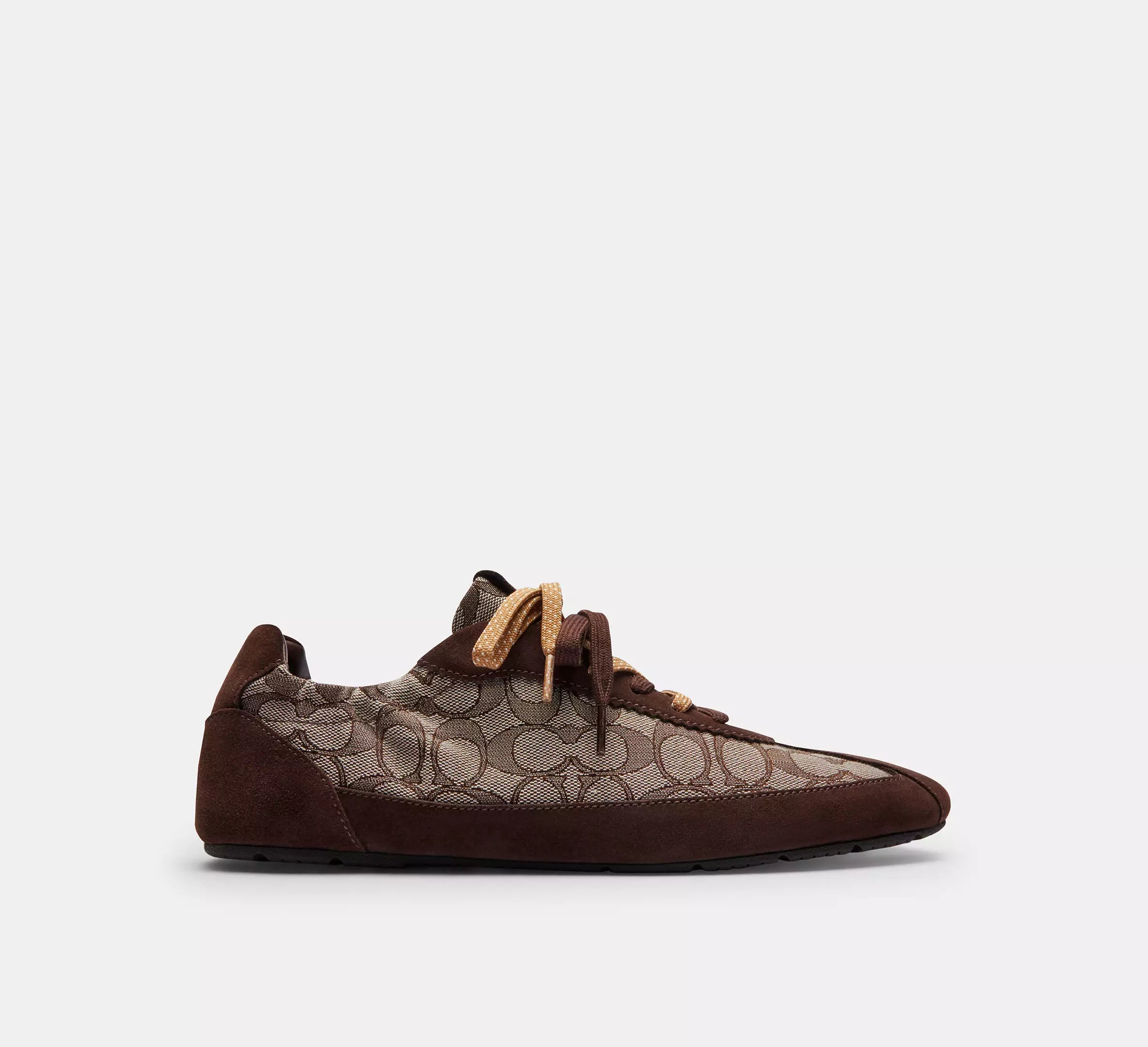 Maple/Oak