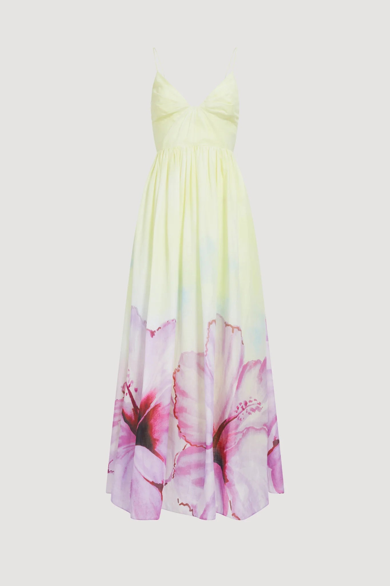 OMBRE HIBISCUS