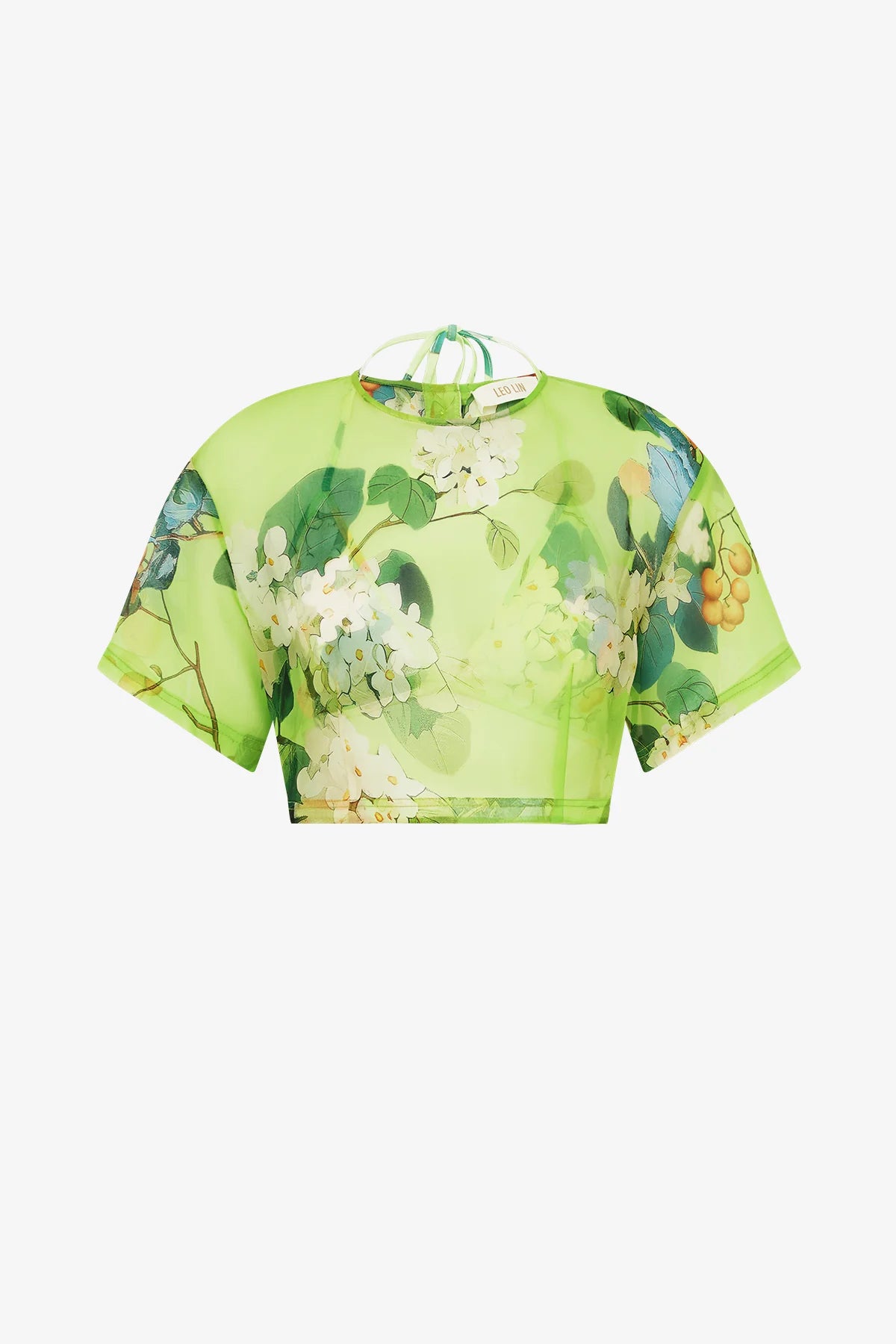 Hydrangea in Lime