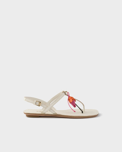 Blanco Calizo