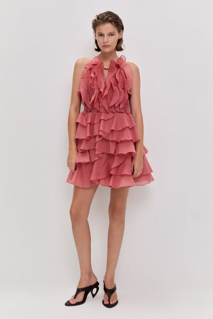SPICED CORAL