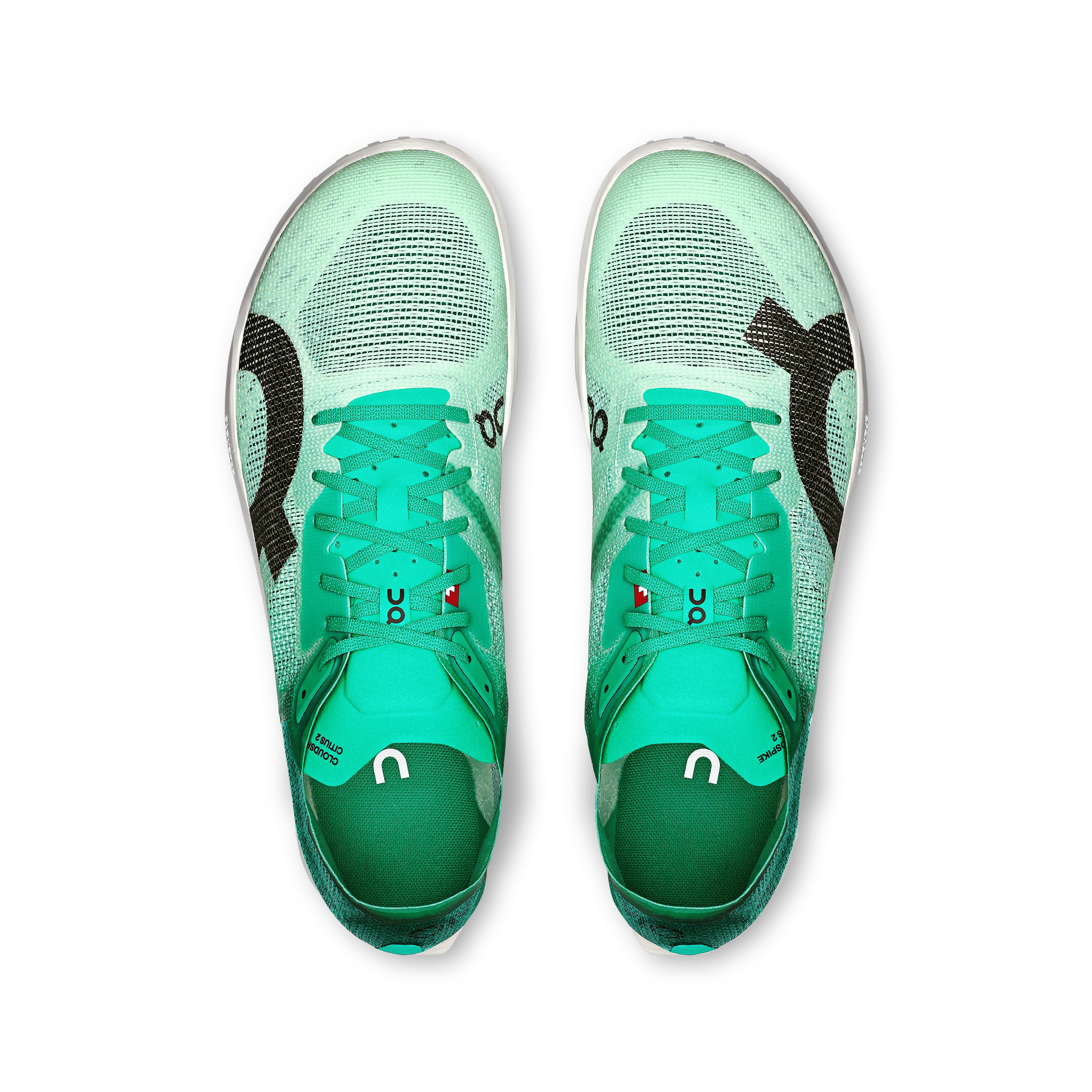 Mint | White
